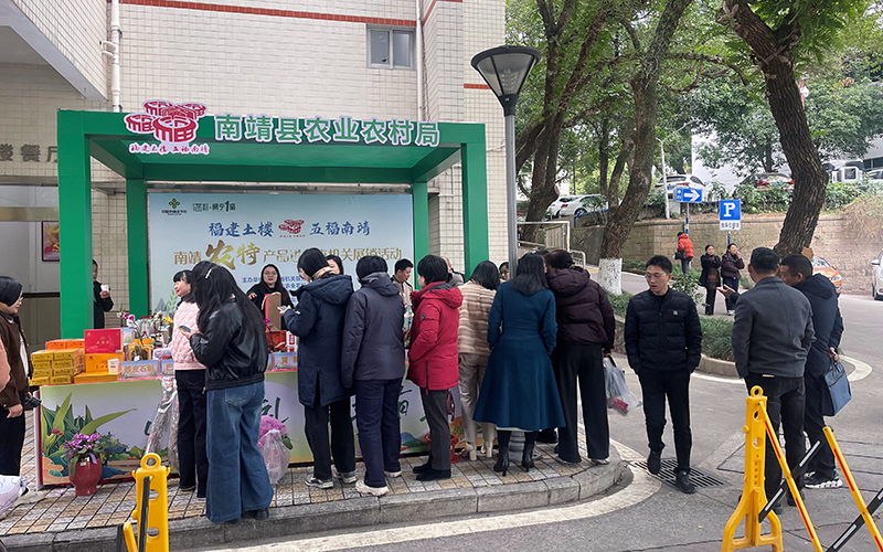 �����������ɽ  ���Ѱ�������