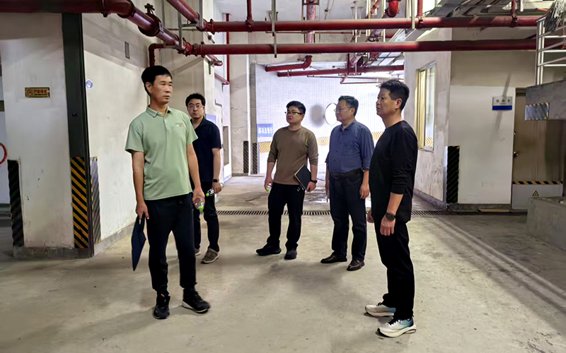 �Ż���������   ��ѧ����������